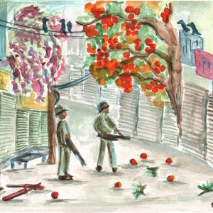 A watercolour scene of Srinagar. Fruit trees drop orange fruit on a deserted street, save for two armed soldiers with guns, who look quizzically up at the tree.