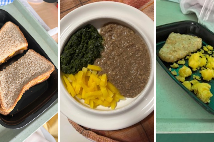 Three photos of unappetizing-looking food: a cheese sandwich made from untoasted bread and unmelted cheese; petrified scrambled eggs and a pale hash brown; and unidentifiable green and brown gruel.